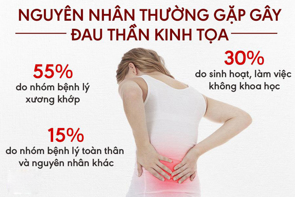 ghe massage toan than fuji luxury yen bai, viet tri, ha noi