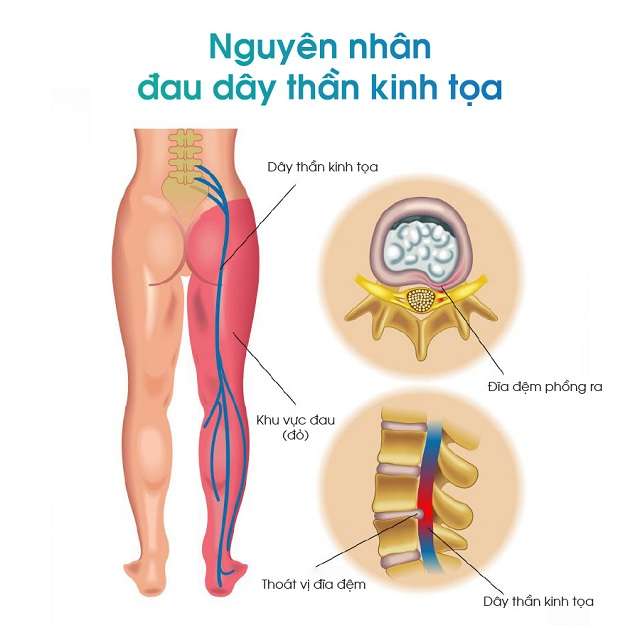 ghe massage toan than fuji luxury yen bai, viet tri, ha noi